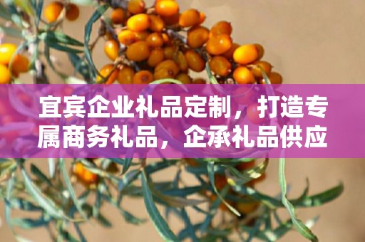宜宾企业礼品定制，打造专属商务礼品，企承礼品供应链助力企业发展